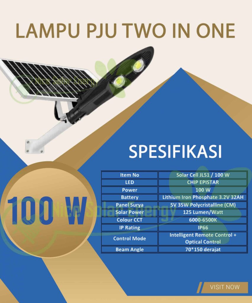 cobra two in one 100w