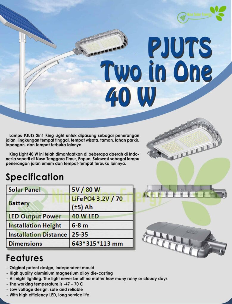 two in one (king light) 40 w..